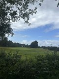 2 Golf Courses