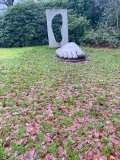 Bellahouston Park & Christmas Lunch
