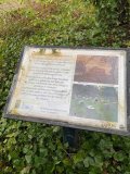 Bellahouston Park & Christmas Lunch