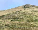 Ben Cleugh