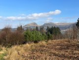 Blanefield