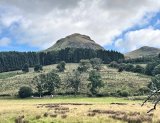 Blanefiels/Killearn Circular