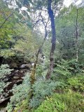 Brig o'Turk Circular
