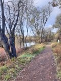 Clyde Walkway