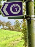 Croy Circular