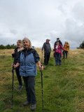 Fernbrae Meadows