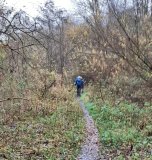 Kelvin Walkway Glasgow to Milngavie