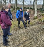 Lady Mary's Walk