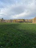 Linn Park