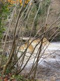 Linn Park