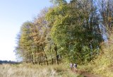 Neilston Pad to Harelaw Dam