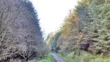 Neilston Pad to Harelaw Dam