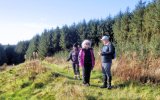 Neilston Pad to Harelaw Dam