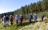 Neilston Pad to Harelaw Dam