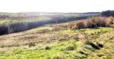 Neilston Pad to Harelaw Dam