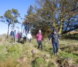 Neilston Pad to Harelaw Dam