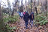 Netherton Braes
