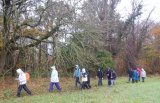 Netherton Braes