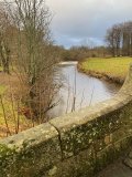 Pollok Park