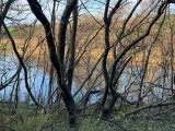 Smuggler's Trail